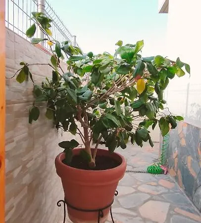 Ferienhaus Casa Con Impronta Vintage A Narte